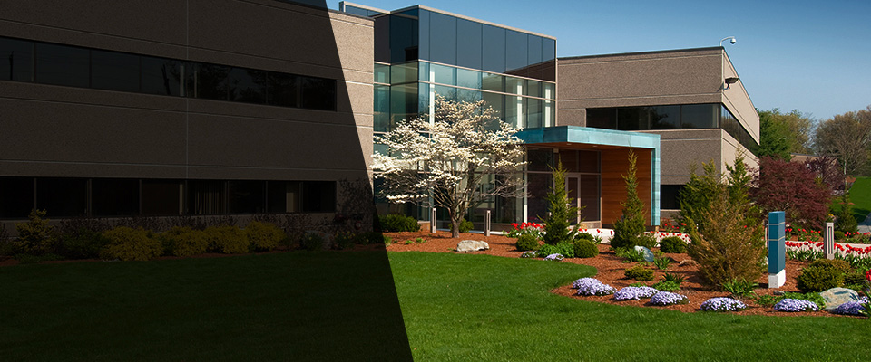 Painesville Landscapers