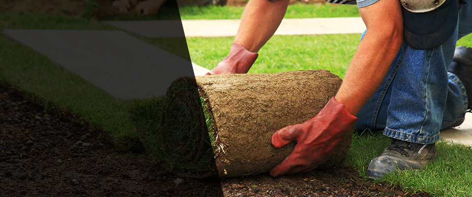 Painesville Landscapers